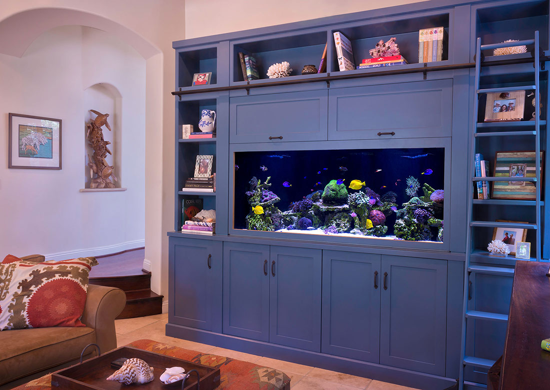 Aquarium Maintenance Services